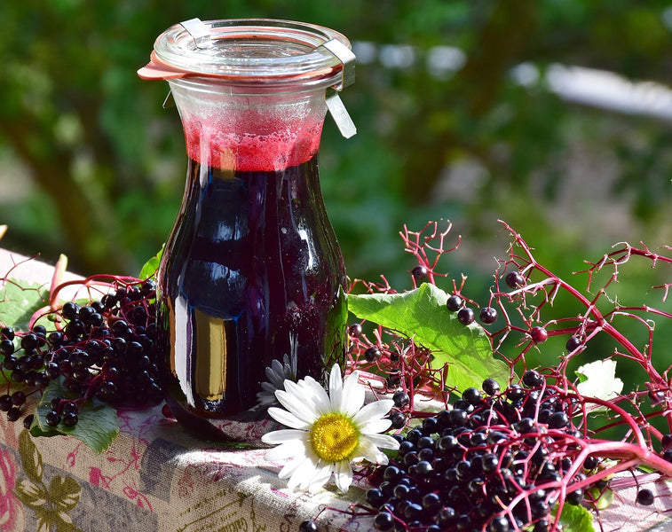 What's The Big Deal About Elderberry Cold & Flu Syrup?